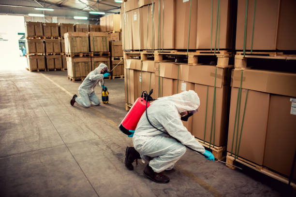 Best Best Pest Control Companies  in Pho, IL