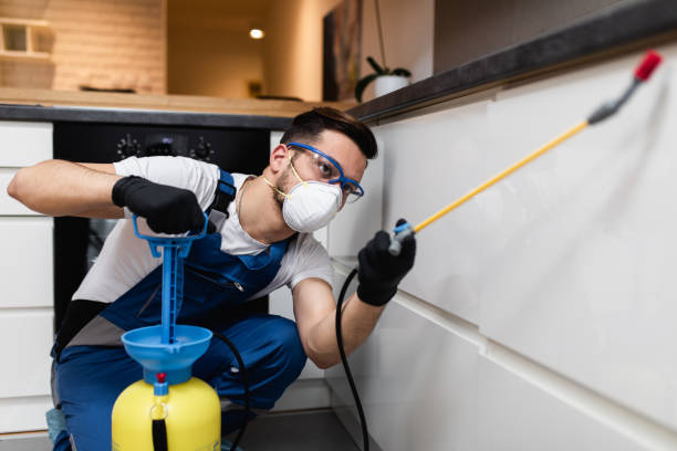 Best Wasp Removal Services  in Pho, IL