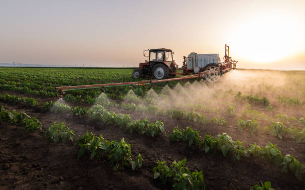 Best Wildlife Control Services  in Pho, IL