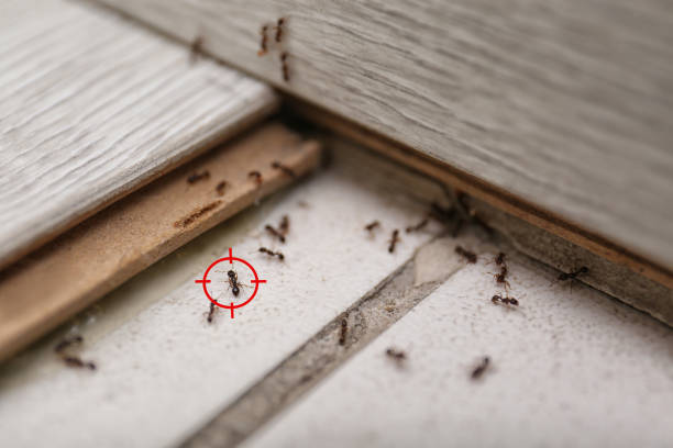Best Pest Control Cost  in Pho, IL