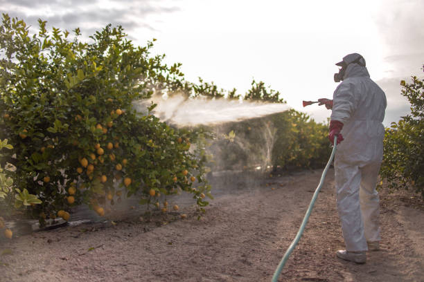 Best Bed Bug Extermination  in Pho, IL