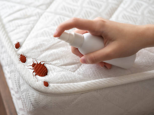 Pest Control Cost in Philo, IL