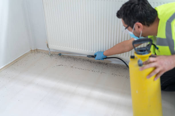 Best Commercial Pest Control Services  in Pho, IL