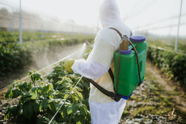 Reliable Philo, IL Pest Control Solutions